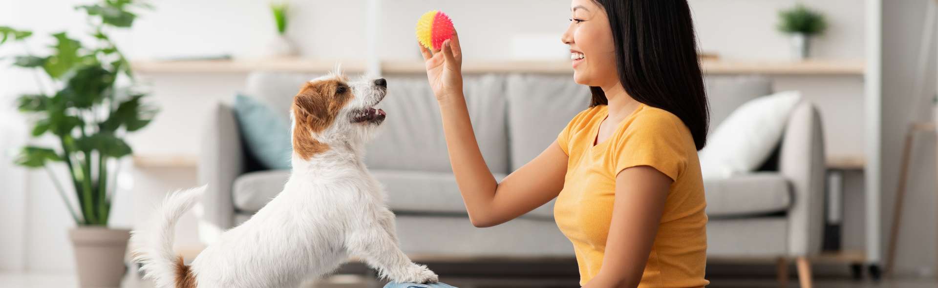 É possível criar Pets em apartamentos?