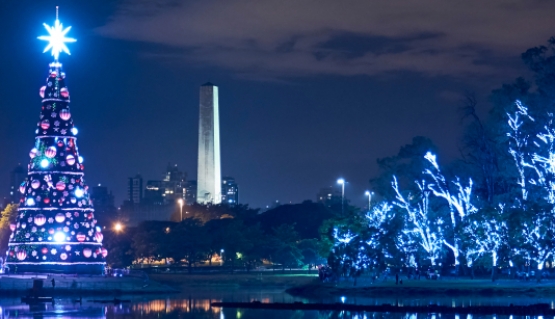 10 Atrações imperdíveis e gratuitas de Natal em SP