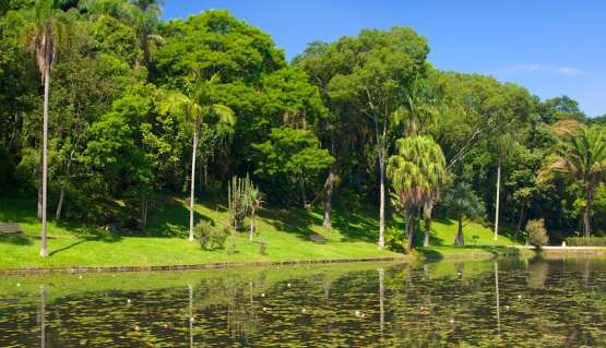 Lazer no Jardim Botânico: Melhores Lugares para Conhecer na Região