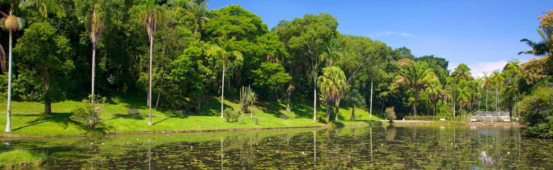 Lazer no Jardim Botânico: Melhores Lugares para Conhecer na Região