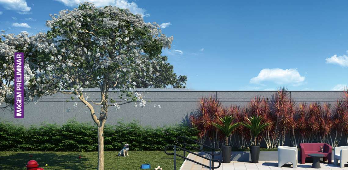 Pet Place - Apartamento em Itaquera